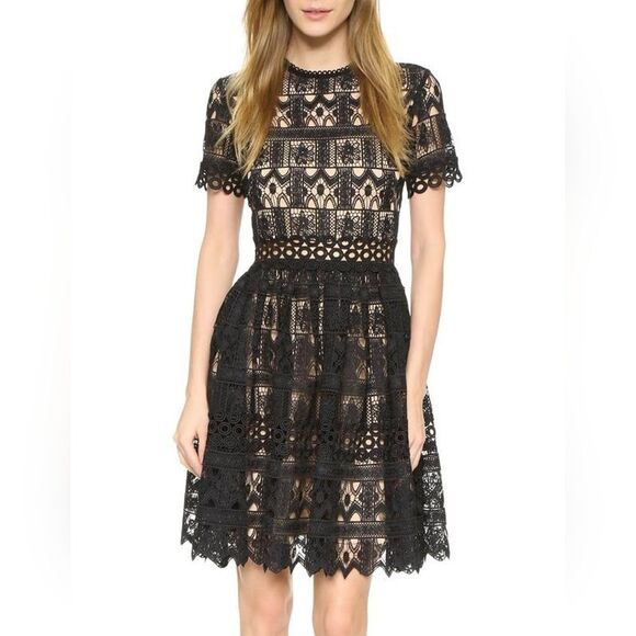 Alexis  - Picture 7 of 8